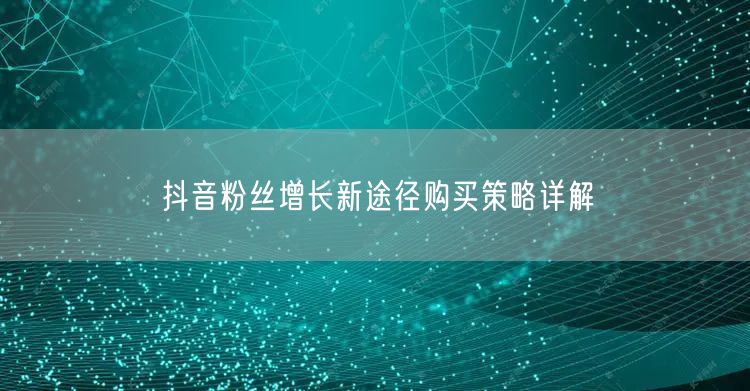 抖音粉丝增长新途径购买策略详解