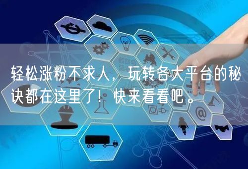 轻松涨粉不求人，玩转各大平台的秘诀都在这里了！快来看看吧。