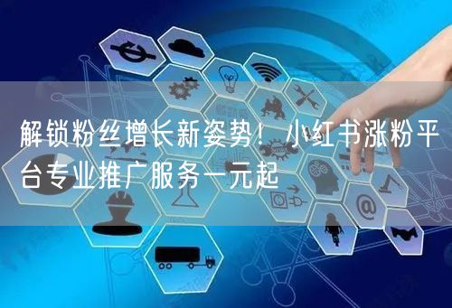 解锁粉丝增长新姿势！小红书涨粉平台专业推广服务一元起