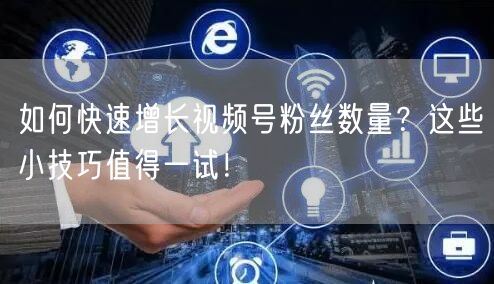 如何快速增长视频号粉丝数量？这些小技巧值得一试！