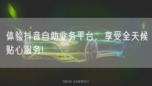 体验抖音自助业务平台，享受全天候贴心服务!