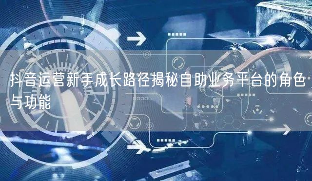 抖音运营新手成长路径揭秘自助业务平台的角色与功能